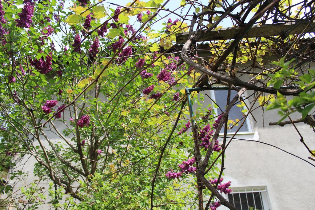 Apartment On Zaliznychna Lviv Exteriör bild